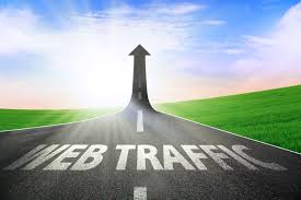 Website Visitors